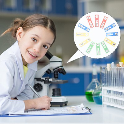  36 Pcs Specimen Display Toy Microscope Slide Exploration Child