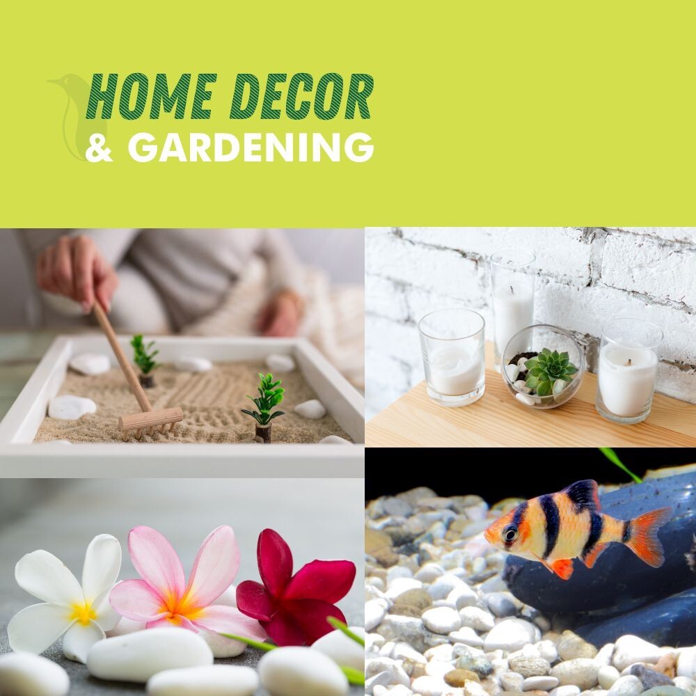 5 lb Decorative White River Rocks Pebbles for Plants Aquarium Stones (1-3")