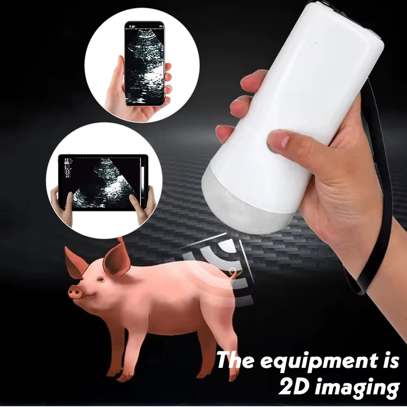 Wireless Veterinary Ultrasound Scanner Handheld Ultrasound Machine Wireless Colo