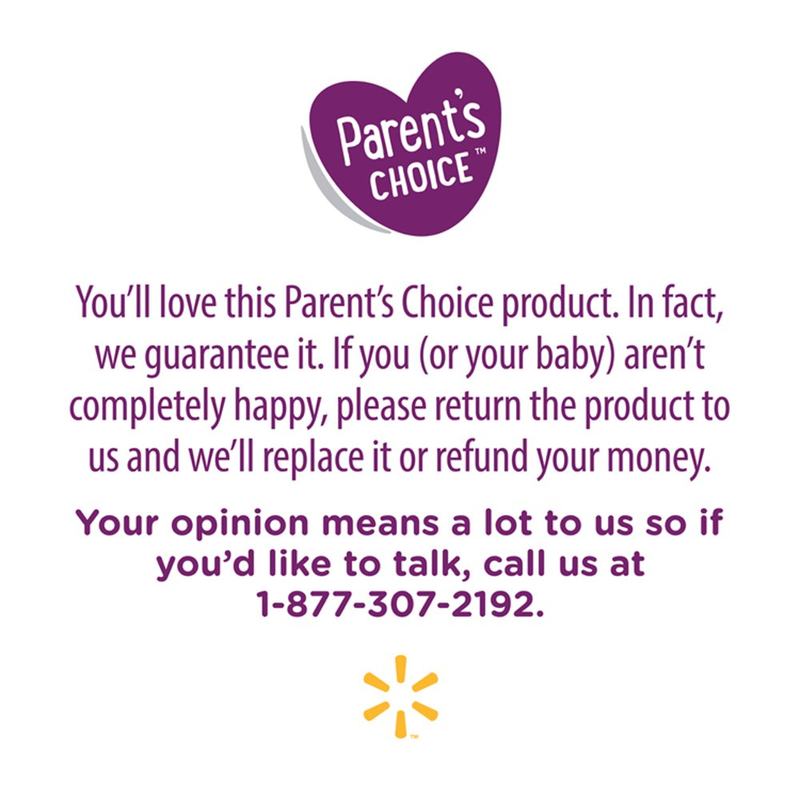 Parent'S Choice 3-In-1 Stainless Bottle Brush, Gray