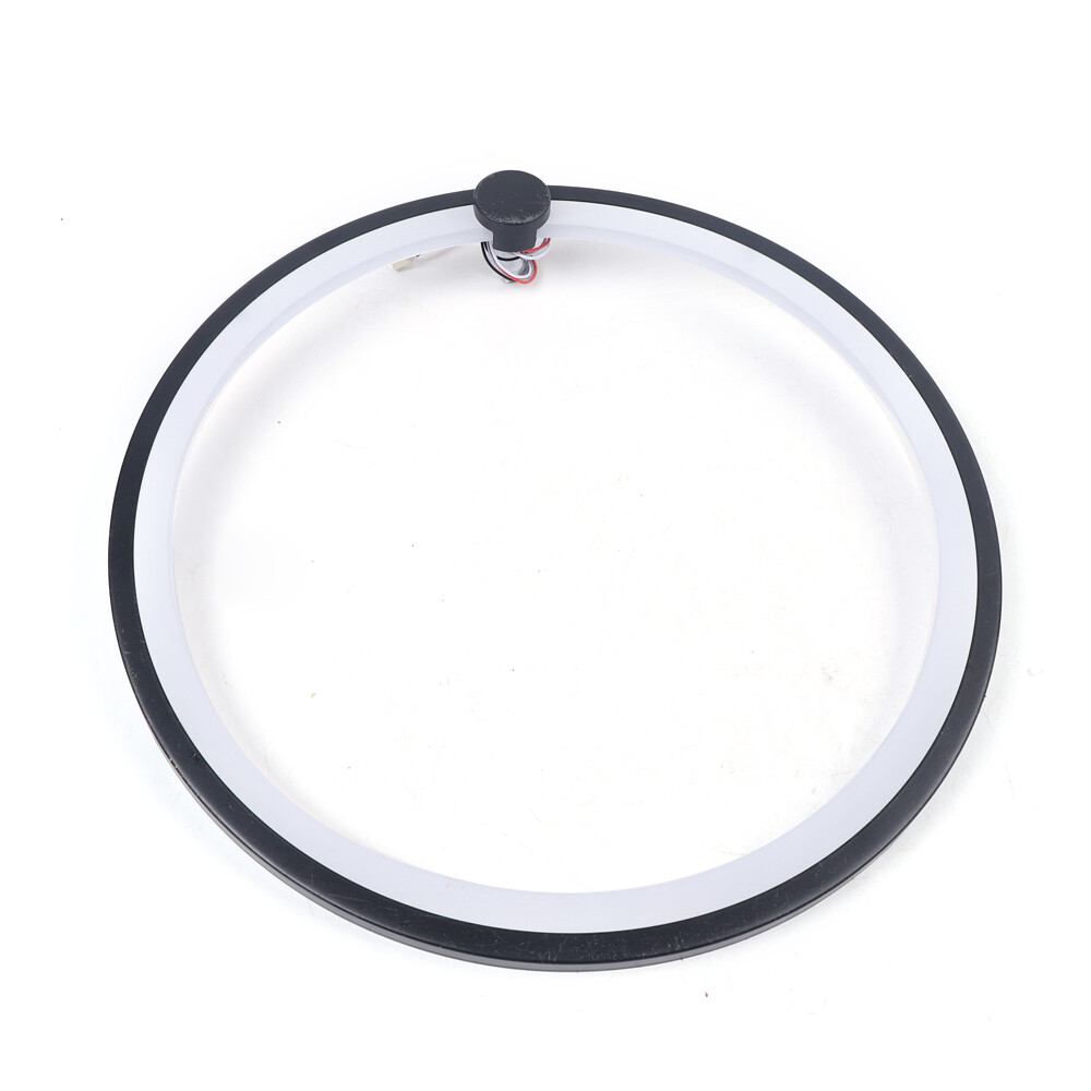 Acrylic LED Halo Ring Flush Ceiling Light Affordable Modern Design