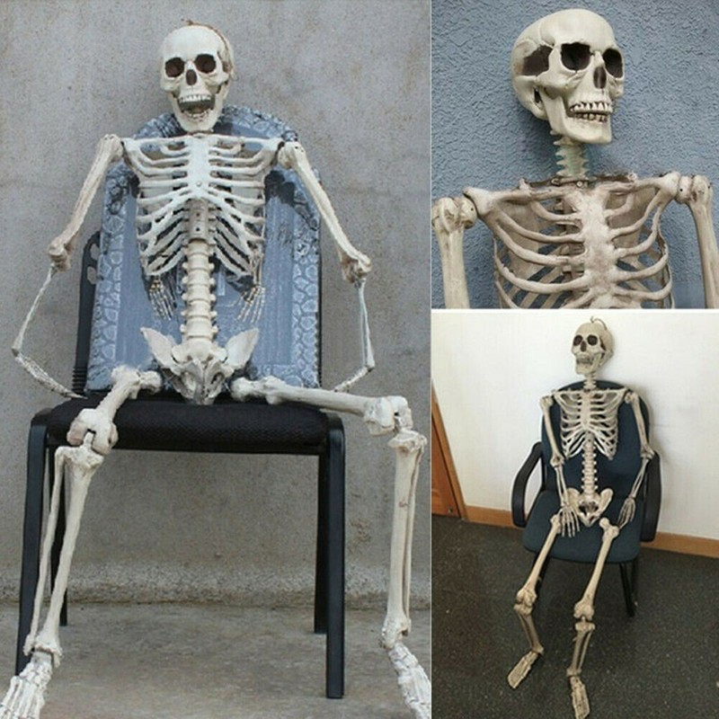 Скелет сидит