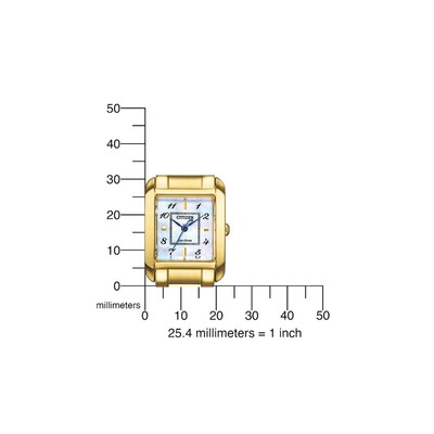 Pre-owned Citizen Ew5602-81d Ladies Watch Eco-drive Elegance 22mm 5atm