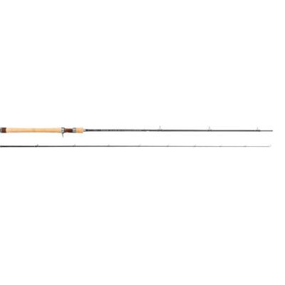 Tenryu Rayz RZ842B-MMH Baitcasting Rod for Trout