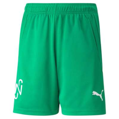 

Шорты Puma Nmj Copa Youth Boys Green Athletic Casual Bottoms 605571-07, Зеленый, Puma Nmj Copa Shorts Youth