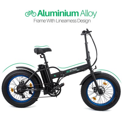 electric bike ecotric