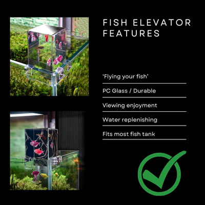 Secotan Fish Elevator- Negative Pressure Fish Tank, Water Auto-Refill, Fish Tank
