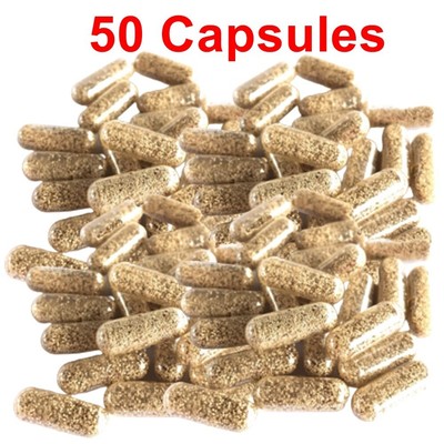 Fish Food Live MOINA MACROCOPA CYSTS EGGS Betta Guppy Discus Natural Feed 50 Cap