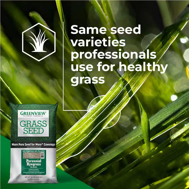 3 Lbs. Fairway Formula Grass Seed Perennial Ryegrass Blend