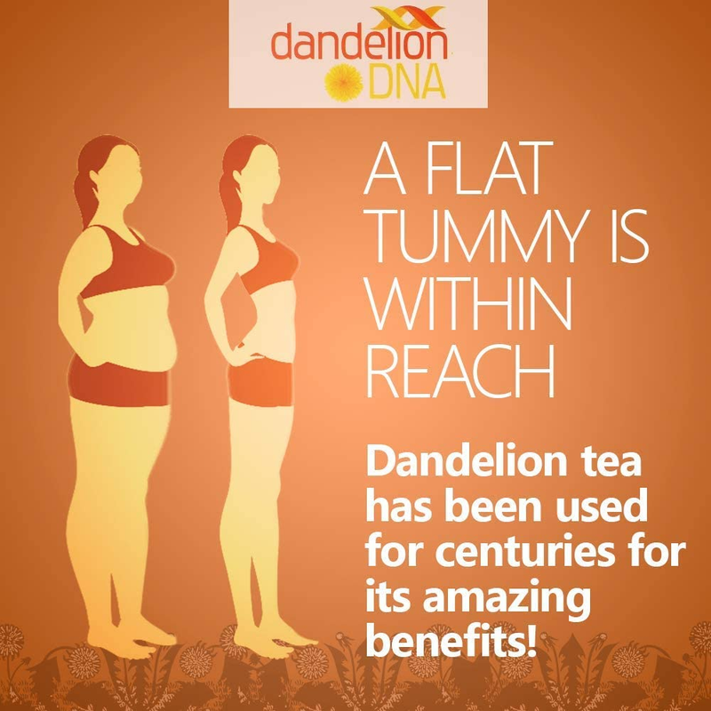 Organic Roasted Dandelion Root Tea Caffeine-Free Digestion&Immune System Support