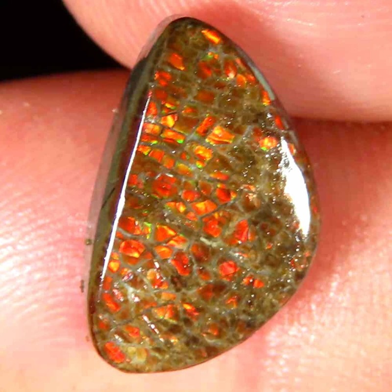 Cabochon Fantaisie Ammolite Multi Feu 100 % Naturel 8 X 14 X 3 Mm Pierre PrÃ©C...