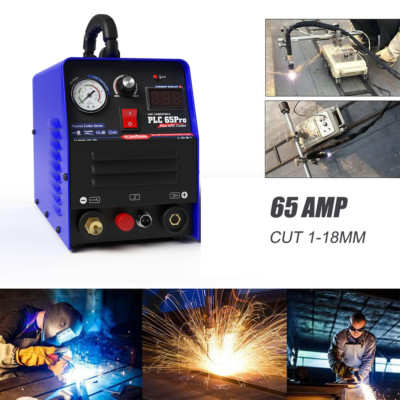 Non-Torch 65A IGBT Plasma Cutter Machine Pilot Arc CNC WSD65P Troch 110/220V