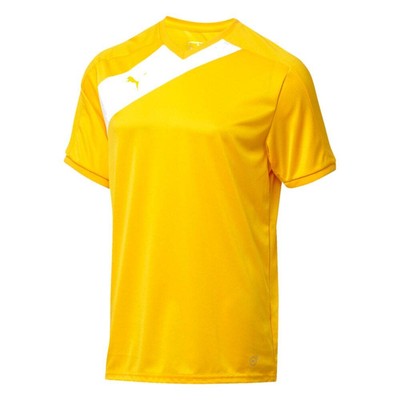 

Puma Santiago Tg Soccer Jersey Youth Boys Size  Athletic Casual 655501-22-Y, Желтый, Puma Santiago Tg Soccer Jersey Youth