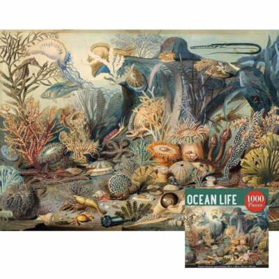 Peter Pauper Press Puzzle Ocean Life Jigsaw