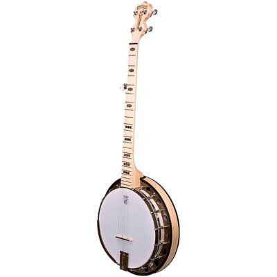 Deering Goodtime Special Deco 5-String Resonator Banjo