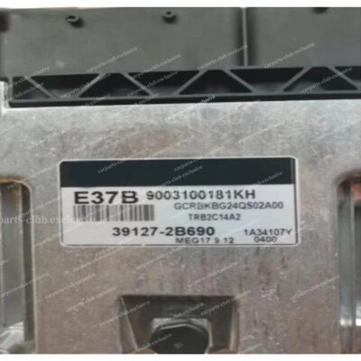 Car Engine Computer Board/ECU/Electronic Control Unit 39127-2B690 MEG17.9.12 