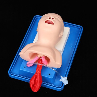 Intubation Manikin Study Baby Airway Management Trainer Lab Tool Teaching Model