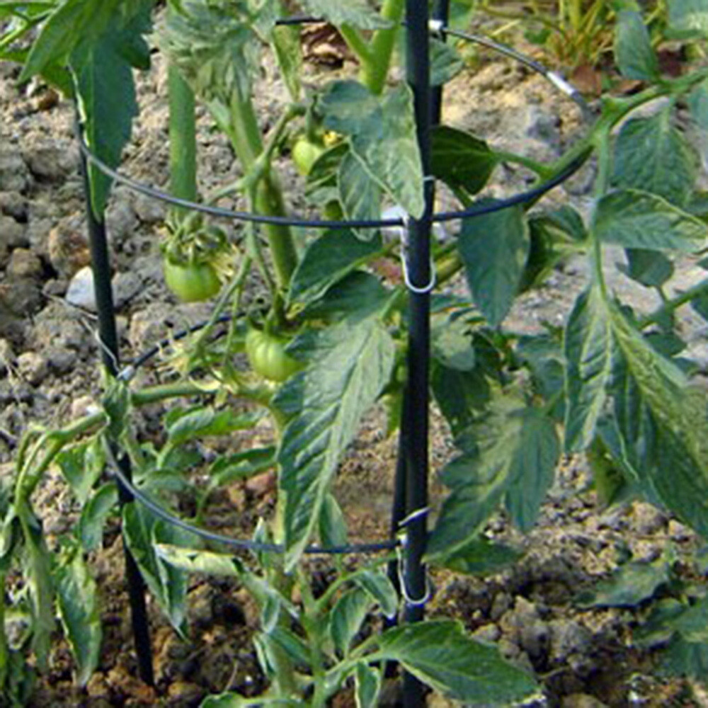 Garden Trellis Climbing Plant Support Cage Pepper Eggplant Tomato