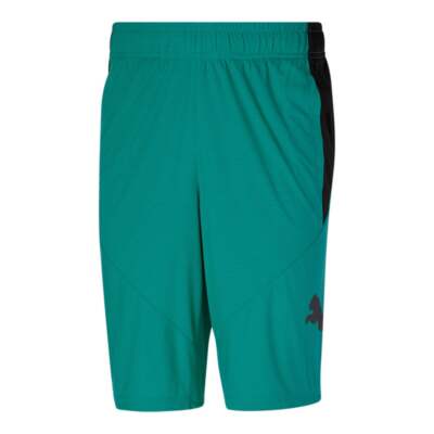 Спортивные шорты Puma 58627827 Mens Cat 10 для тренировок, повседневные - синие