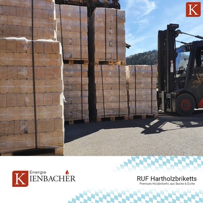 Holzofen Kohleofen Raritat Kaminofen