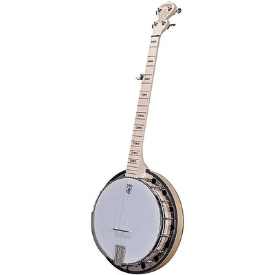Deering Goodtime Special 5-String Banjo with Resonator Maple
