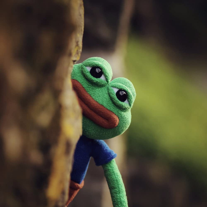 Pepe the Frog - the Official Plush Doll (Anatomically Correct)