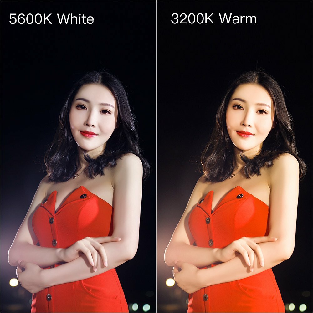 LED Video Light Camera Light, Portable Camcorder Light Panel, 3200K/5600K