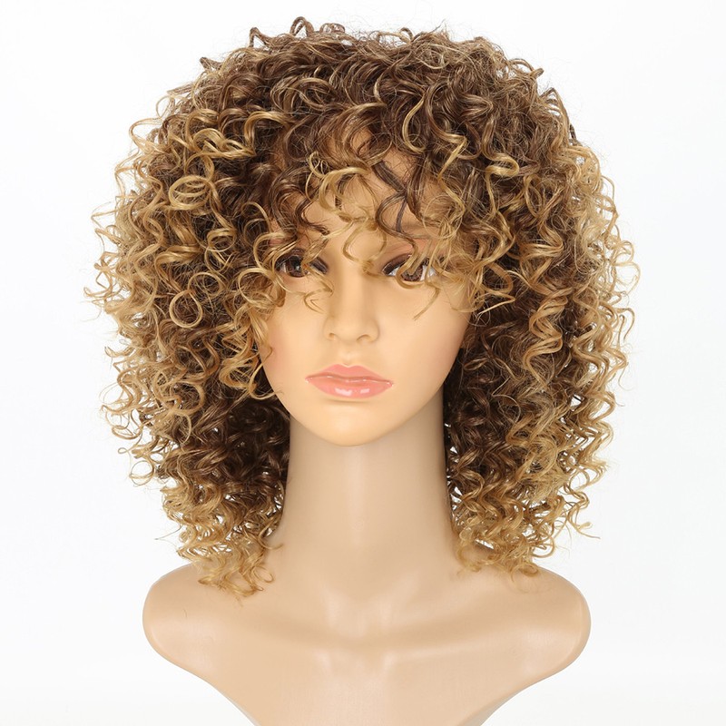 Women Lady Kinky Curly Wigs Afro American Hair Wigs Soft Healthy