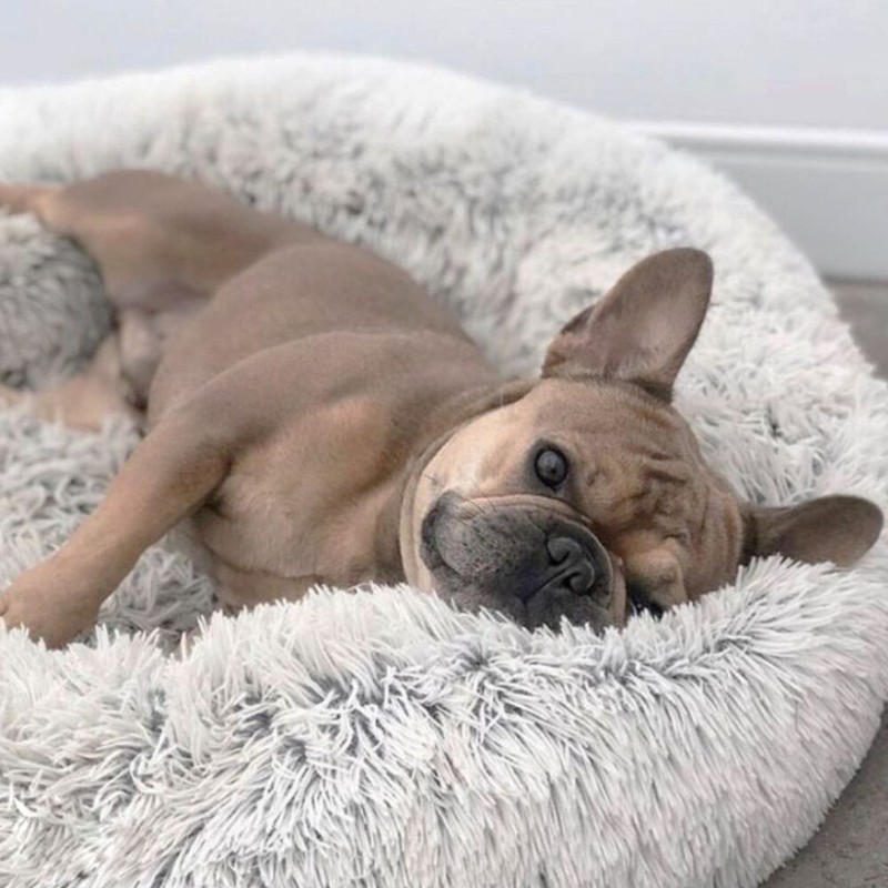 Originales Wolke 7 Hundebett - Liegedonut