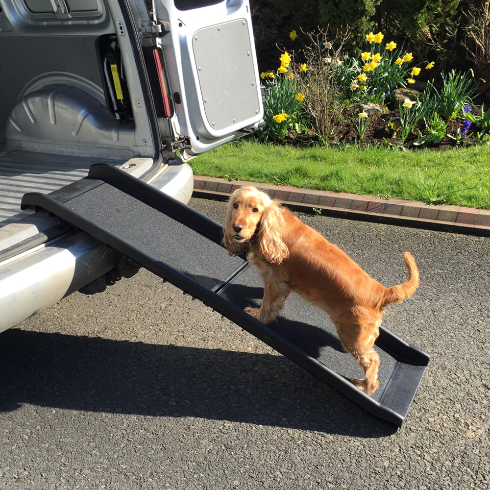 fold up dog ramp