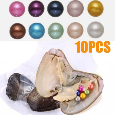Large 10PCS Individually Wrapped Freshwater Pearl Oysters Real Freshwater Pear