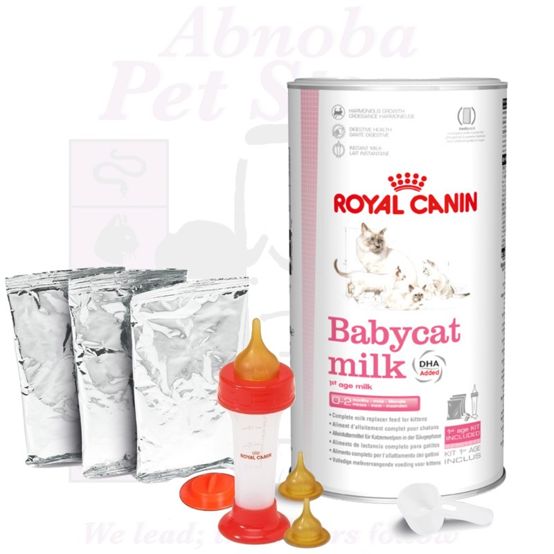 Royal Canin Babycat Milk Replacer Feed & Bottle Kittens Birth Weaning