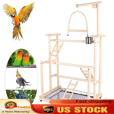 Pet Parrot Playstand Parrots Bird Playground Bird Play Stand Wood Perch Gym Play