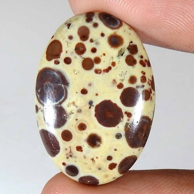 18.05Cts. 100% Natural Designer Asteroid Jasper Oval Cabochon Loose Gemstone