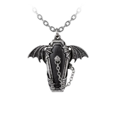 Alchemy Gothic Eternal Sleep Pendant Necklace Pewter Coffin Vampire Witchy Death