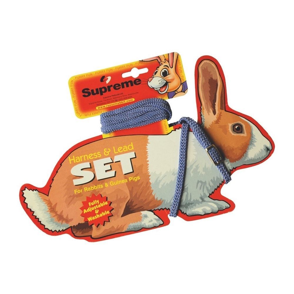 Kaninchen Geschirr- und Leinensets