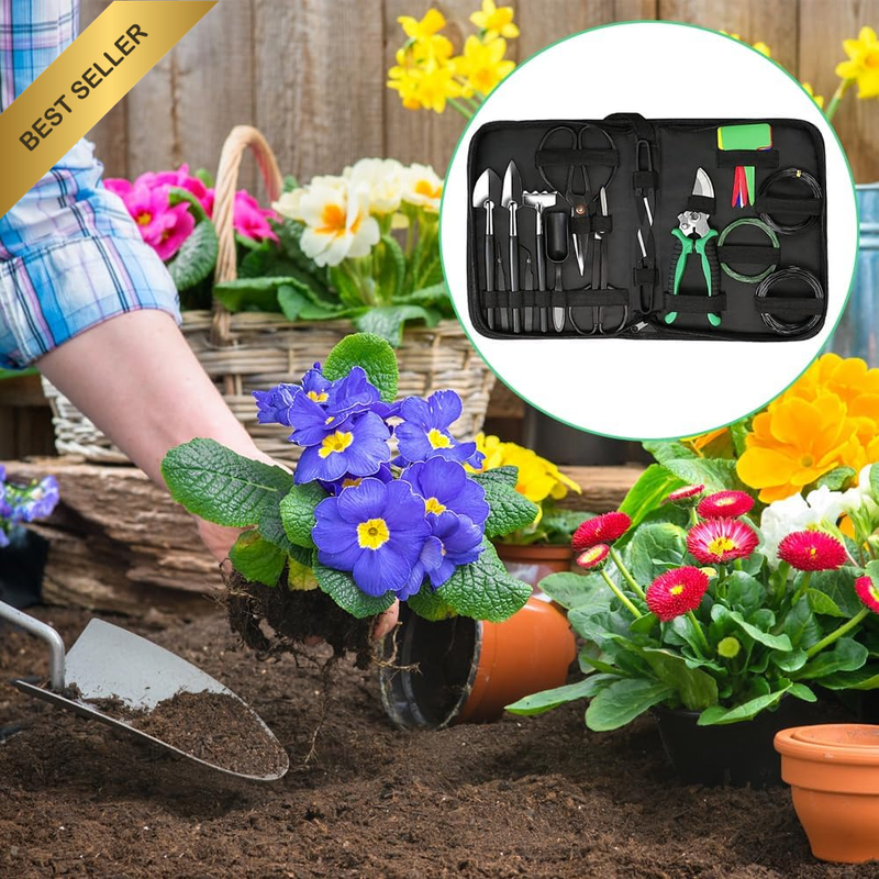 Picture 4