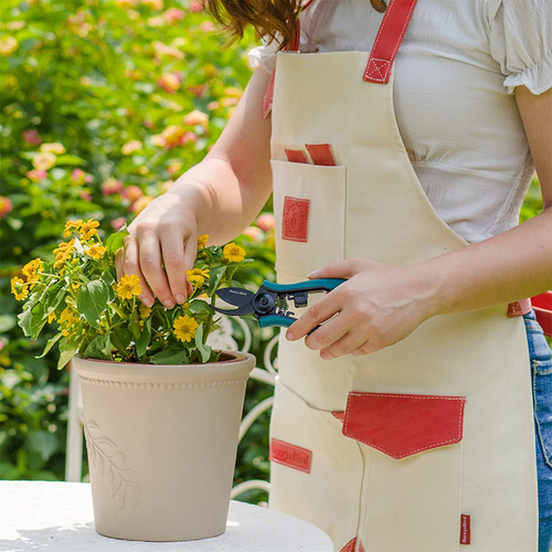 Berry&Bird 2Pcs Garden Pruning Shears Gardening Scissors Hand Pruners Tools