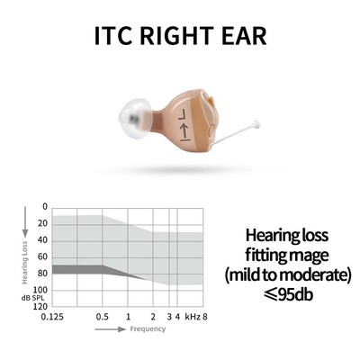 SIEMENS Signia Invisible Hearing Aid 8 Channel Programmable Digital Hearing aids