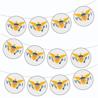 Virgin islands US Flag Bunting Party Decorations World Events 12pcs