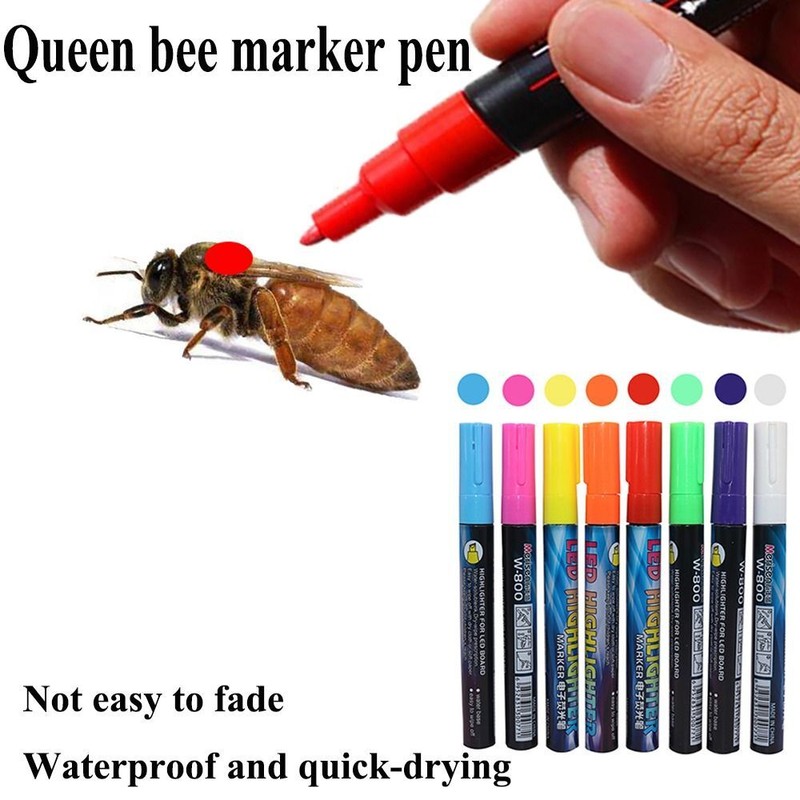 5PCS Queen Bee Marker Pen LED Highlighter Marks Pen Paintbrush Bevel Nib