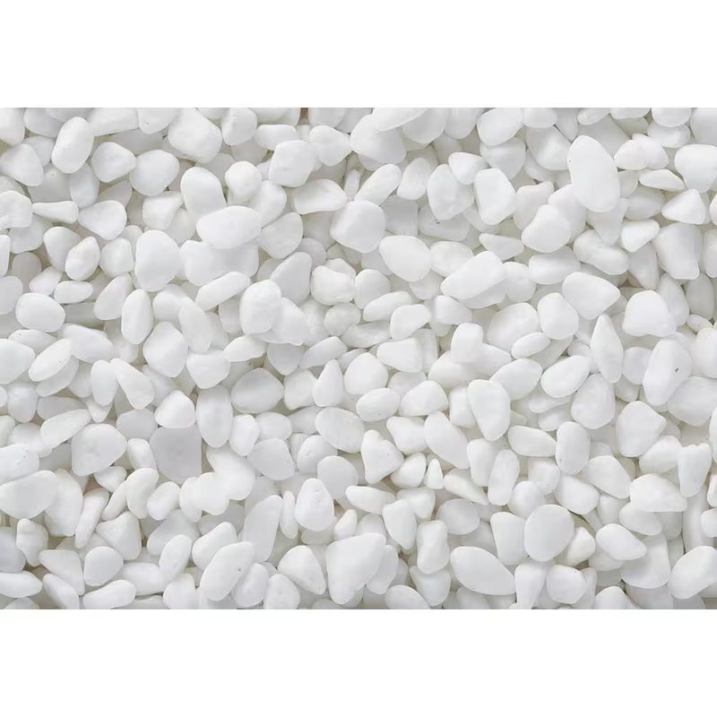 Pebbles White Bean Natural Pebbles 1/5 in Decorative Garden Landscape Stone