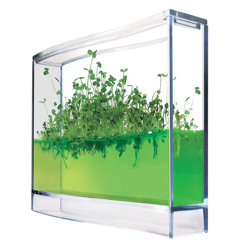 Plantarium für Kräuter, Gel Gewächshaus, Gewürze selber pflanzen, Ökosystem
