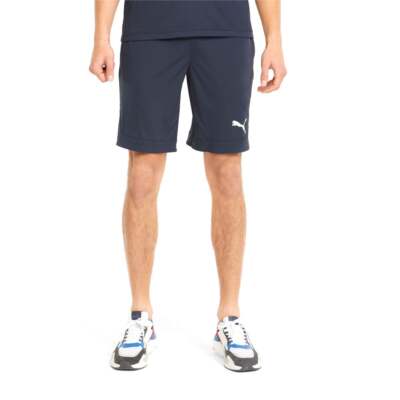 

Мужские синие повседневные шорты Puma Essentials Rtg 10 670426-43, Синий, Puma Essentials Rtg 10" Shorts