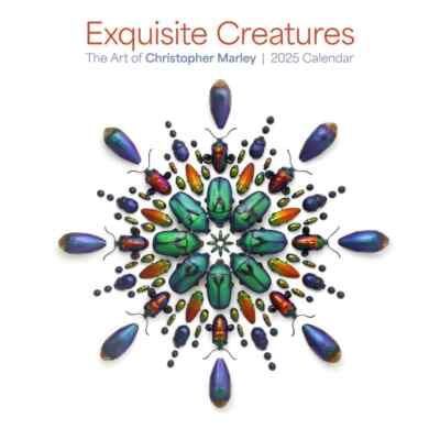 Pomegranate,  Exquisite Creatures 2025 Wall Calendar