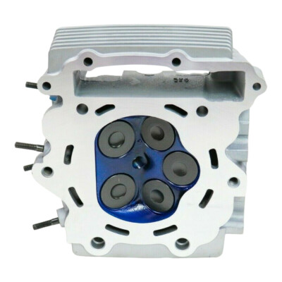2001-2005 Yamaha Raptor 660 r 660r Cylinder Head Valves