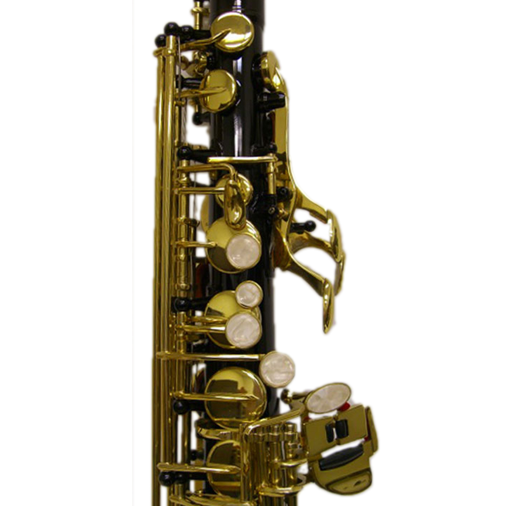 HOLIDAY SALE Black/Gold Alto Saxophone w Wonderful Versatile Case