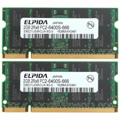 4GB Kit 2x 2GB Dell XPS M1210 M1330 M1530 M1710 M1730 M2010 DDR2 Laptop Memory