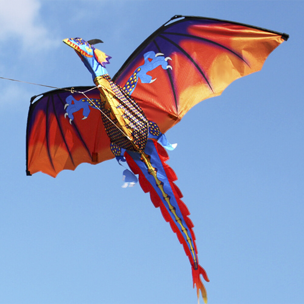 3D Kinder Erwachsene Drachen Einleiner Flugdrachen Drachenfliegen w// Schnur U1C2