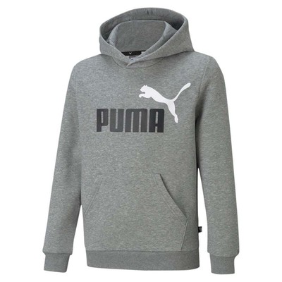 

Пуловер с капюшоном и двухцветным логотипом Puma Essentials+, молодежная повседневная верхняя одежда для мальчиков, размер 3Т, Grey